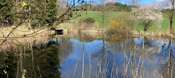  Land in Sallingberg, Austria No. 243436 22