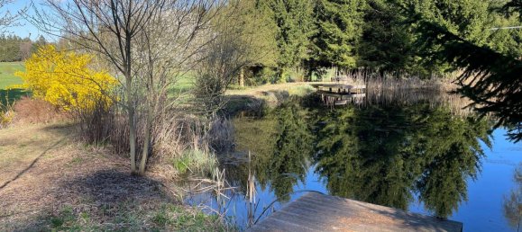  Land in Sallingberg, Austria No. 243436 13