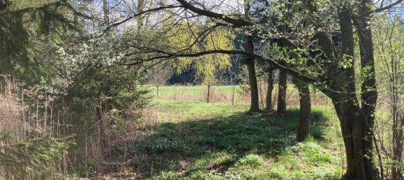  Land in Sallingberg, Austria No. 243436 21