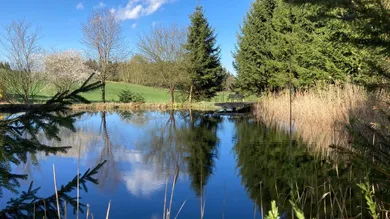  Land in Sallingberg, Austria No. 243436