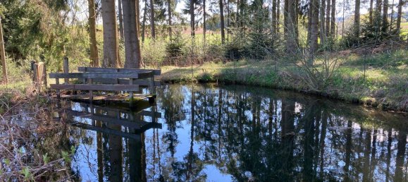  Land in Sallingberg, Austria No. 243436 27