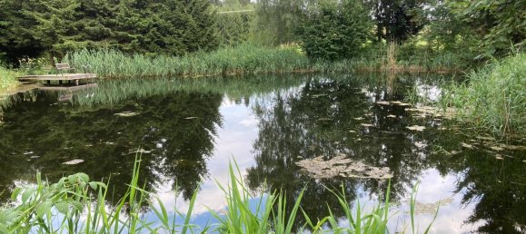  Land in Sallingberg, Austria No. 243436 19