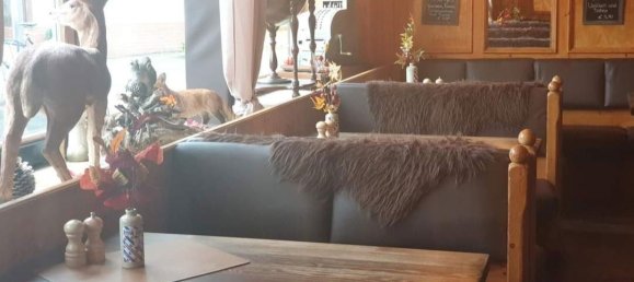 Кафе / ресторан с 12 комнатами в Гослар, Германия № 368226 37