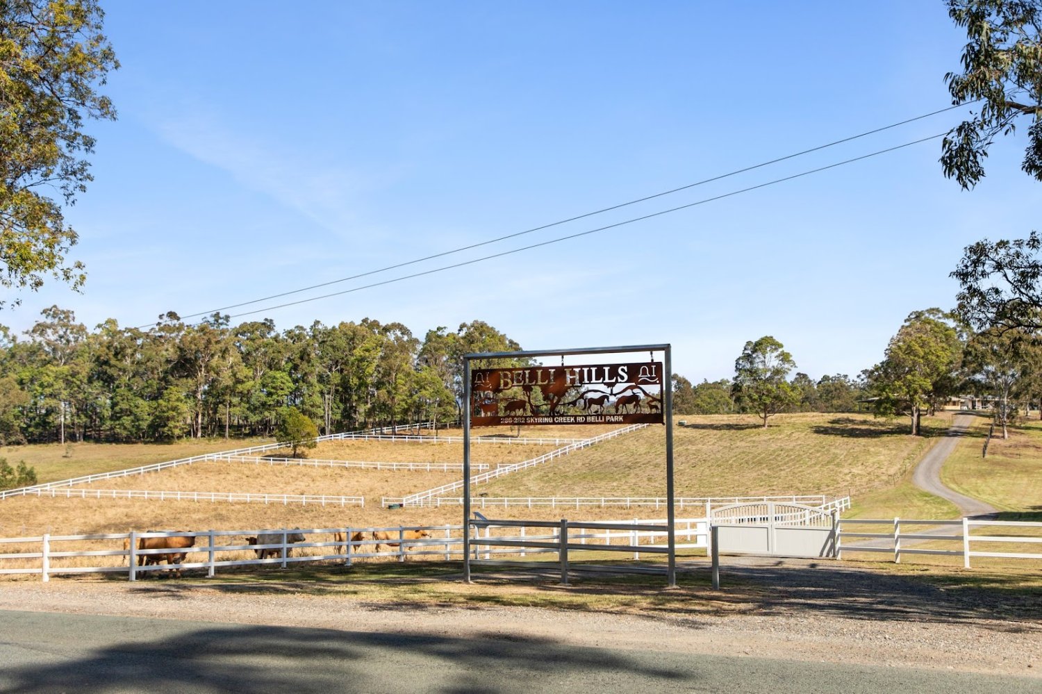 5 غرف نوم منزل في Belli Park, Australia رقم 404