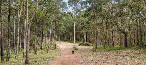 5 غرف نوم منزل في Belli Park, Australia رقم 404 8