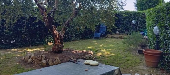 5 rooms Apartment in San Giuliano Terme, Italy No. 276279 3