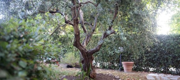 5 rooms Apartment in San Giuliano Terme, Italy No. 276279 33