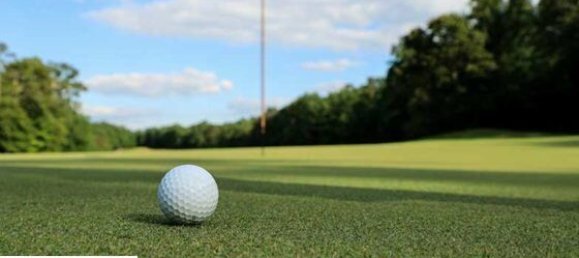 Hôtel à Burgauberg-Neudauberg, Austria 1000m² No. 137164 7