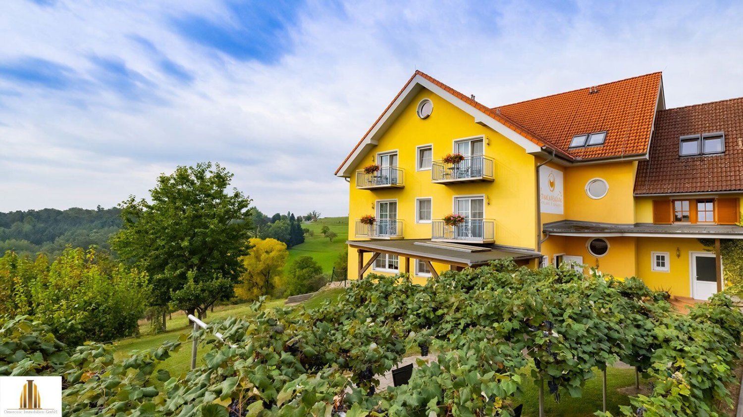 Hôtel à Burgauberg-Neudauberg, Austria 1000m² No. 137164