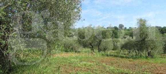 6 rooms House in Gavorrano, Italy No. 70767 18