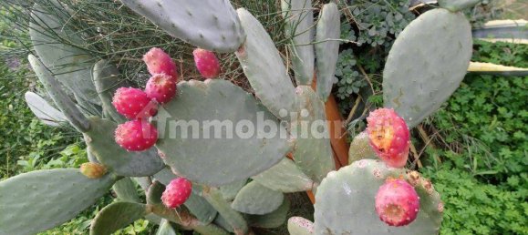 2 chambres Appartement à Lipari, Italy No. 131472 45