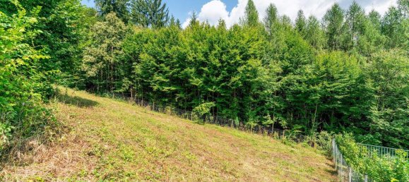 Terreno em Stattegg, Austria N.º 53307 9