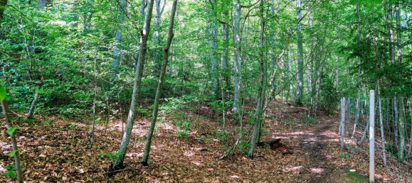 Terreno em Stattegg, Austria N.º 53307 12