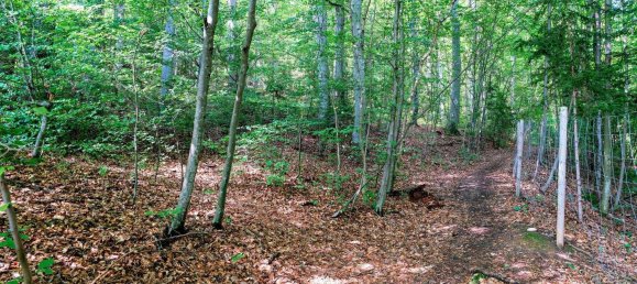 Terreno em Stattegg, Austria N.º 53307 11