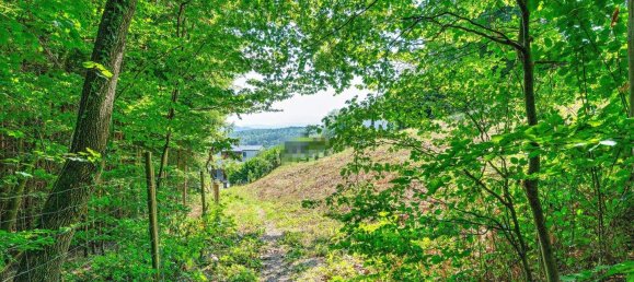 Terreno em Stattegg, Austria N.º 53307 13