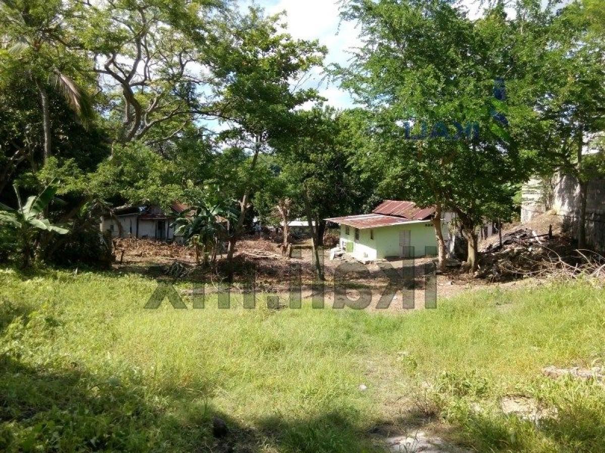  Land in Veracruz, Mexico No. 203904