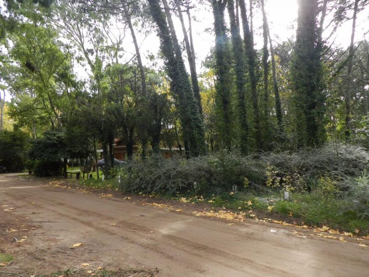  Land in Mar del Plata, Argentina No. 122216