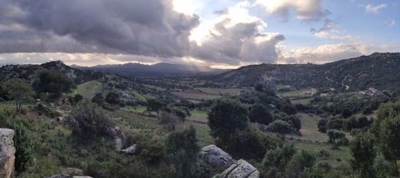 80000m² Land in Luras, Italy No. 255600 6