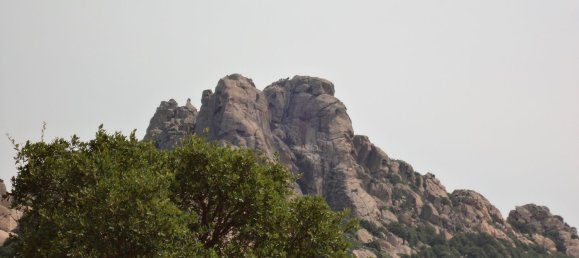 80000m² Land in Luras, Italy No. 255600 4