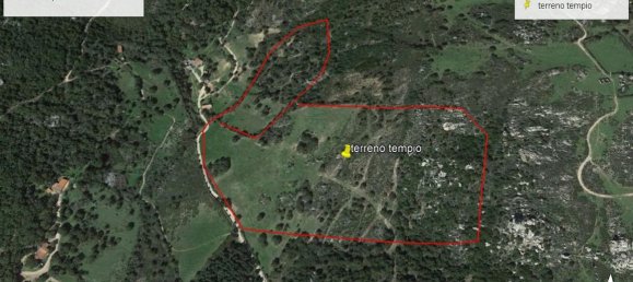 80000m² Land in Luras, Italy No. 255600 5