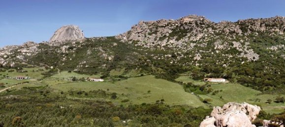 80000m² Land in Luras, Italy No. 255600 7