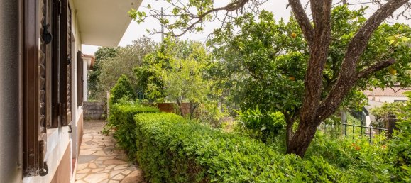 Casa de 4 dormitorios en Tomar, Portugal No. 23921 4