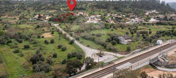 Casa de 4 dormitorios en Tomar, Portugal No. 23921 18