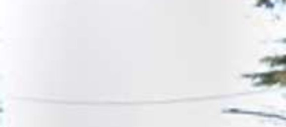 26 rooms Villa in Noventa Padovana, Italy No. 301907 27