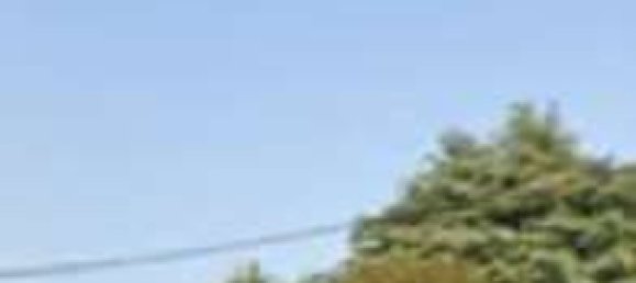 26 rooms Villa in Noventa Padovana, Italy No. 301907 26