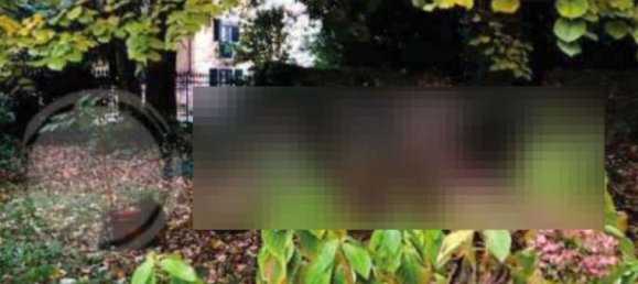 26 rooms Villa in Noventa Padovana, Italy No. 301907 15