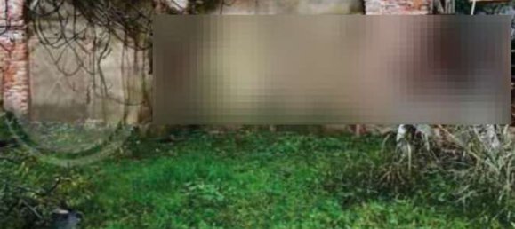 26 rooms Villa in Noventa Padovana, Italy No. 301907 12