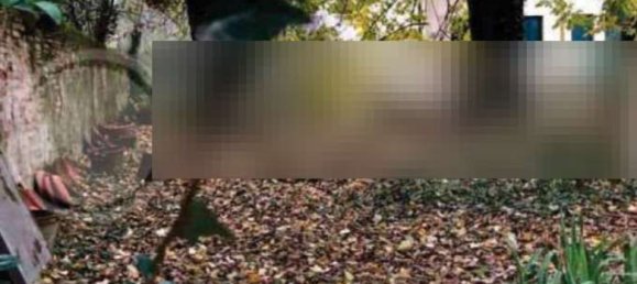 26 rooms Villa in Noventa Padovana, Italy No. 301907 14