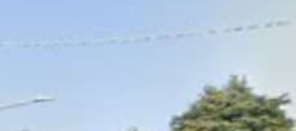 26 rooms Villa in Noventa Padovana, Italy No. 301907 25