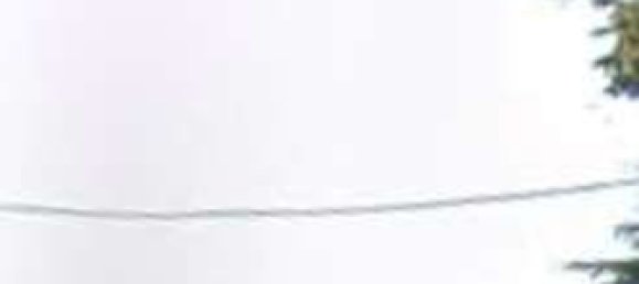 26 rooms Villa in Noventa Padovana, Italy No. 301907 24