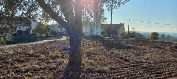 7050m² Land in Tomar, Portugal No. 79619 17