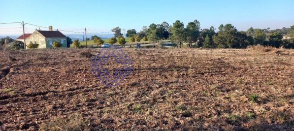 7050m² Land in Tomar, Portugal No. 79619 15