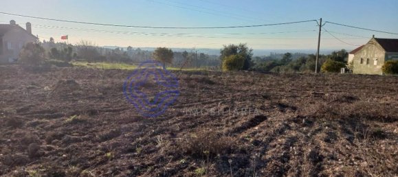 7050m² Land in Tomar, Portugal No. 79619 12