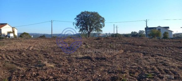 7050m² Land in Tomar, Portugal No. 79619 8