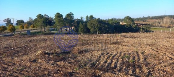 7050m² Land in Tomar, Portugal No. 79619 14