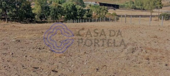 7050m² Land in Tomar, Portugal No. 79619 6