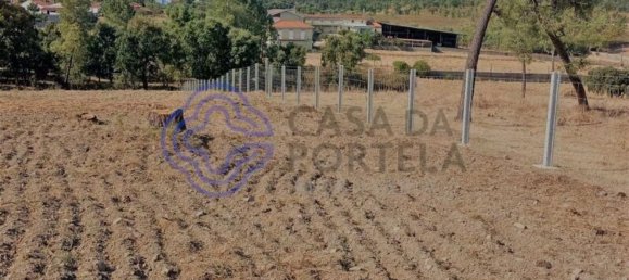 7050m² Land in Tomar, Portugal No. 79619 4