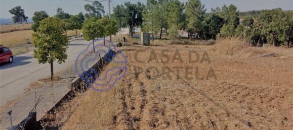 7050m² Land in Tomar, Portugal No. 79619 3