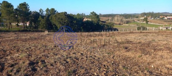 7050m² Land in Tomar, Portugal No. 79619 10