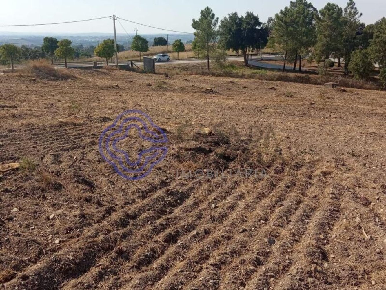 7050m² Land in Tomar, Portugal No. 79619
