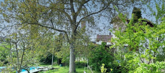 Таунхаус с 10 спальнями в Бад-Кройцнах, Германия № 106750 20