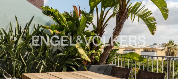 3 غرف نوم بانتهاوس في Lisbon, Portugal رقم 308704 25