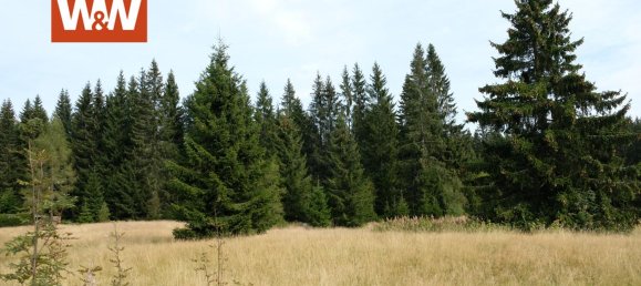 Дом с 6 спальнями в Рудные Горы, Германия № 33135 42