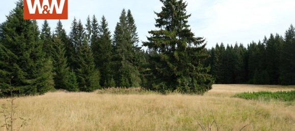 Дом с 6 спальнями в Рудные Горы, Германия № 33135 40