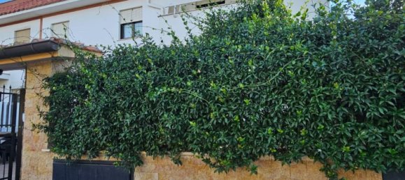 Duplex de 4 divisões em Nettuno, Italy N.º 197392 2