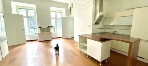 2غرفة شقة في Neubau, Austria رقم 217327 14